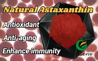 Astaxanthin (2).jpg