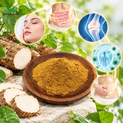 Ekstrakt Dioscorea Nipponica